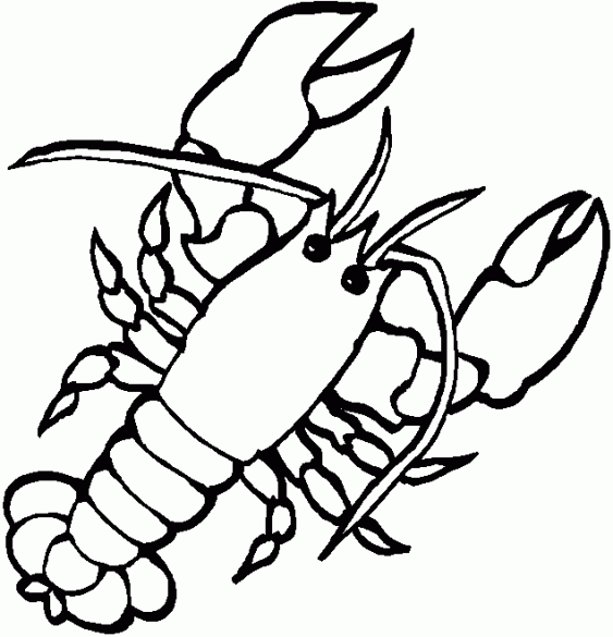 Раскраска: Морские животные (Животные) #21992 - Бесплатные раскраски для печати