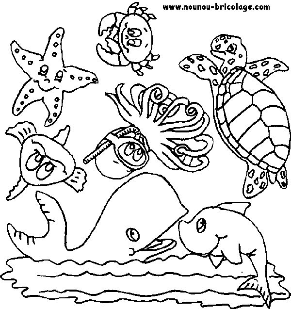 Раскраска: Морские животные (Животные) #22007 - Бесплатные раскраски для печати