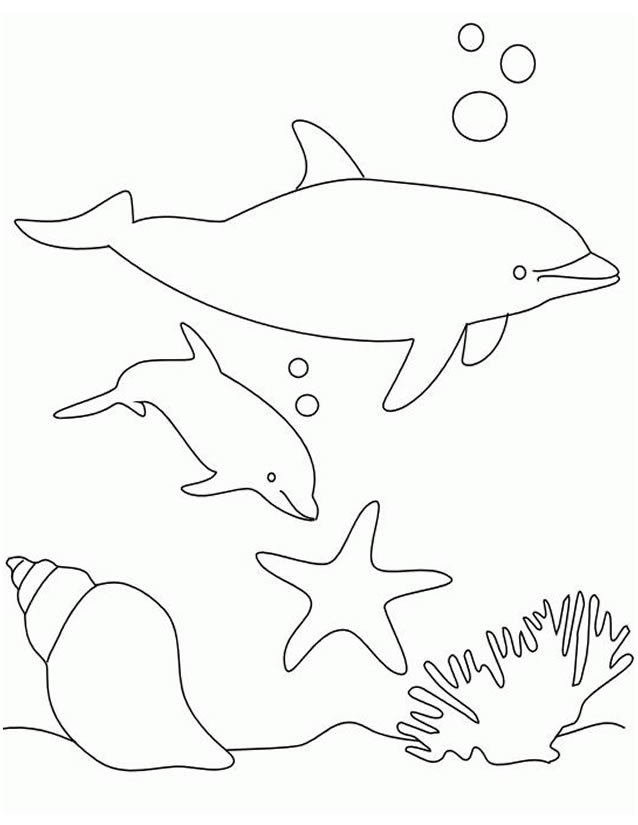 Раскраска: Морские животные (Животные) #22018 - Бесплатные раскраски для печати