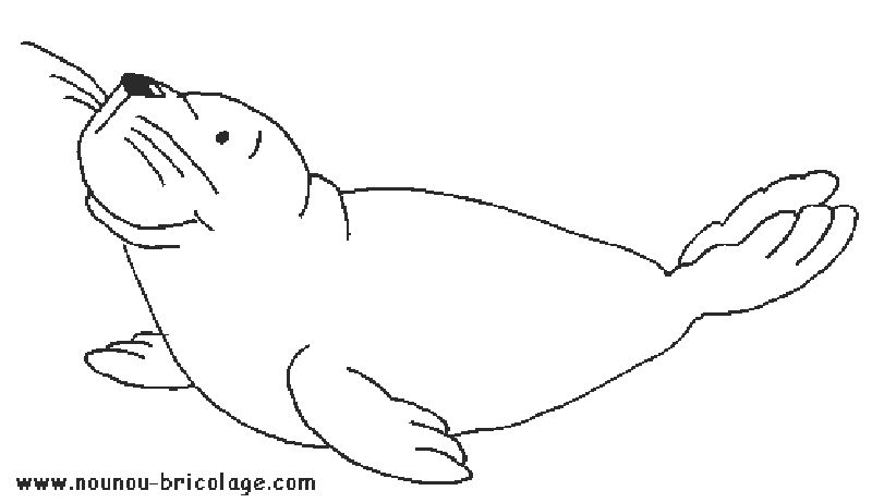 Раскраска: Морские животные (Животные) #22035 - Бесплатные раскраски для печати