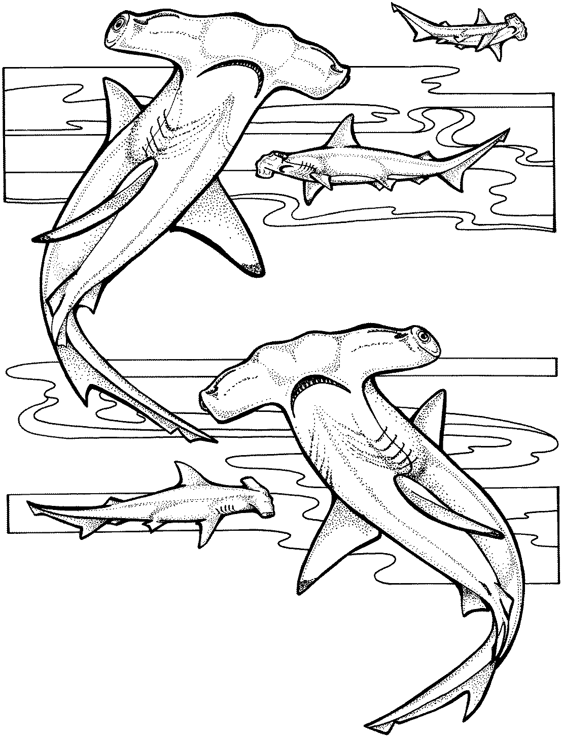 Раскраска: Морские животные (Животные) #22089 - Бесплатные раскраски для печати