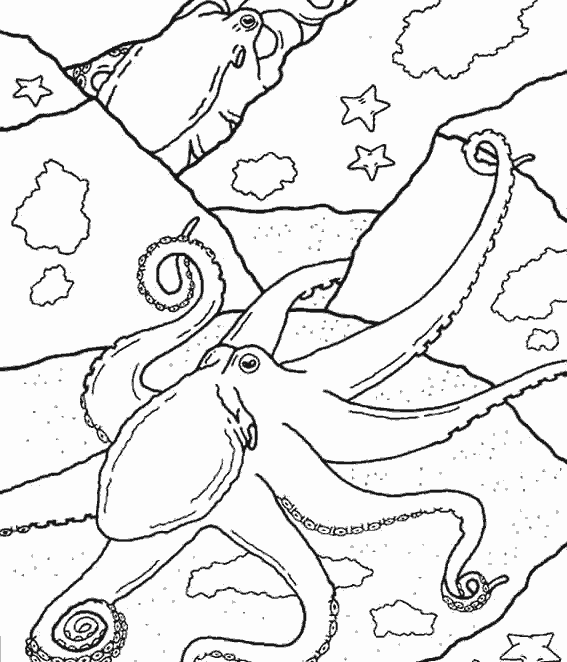 Раскраска: Морские животные (Животные) #22105 - Бесплатные раскраски для печати