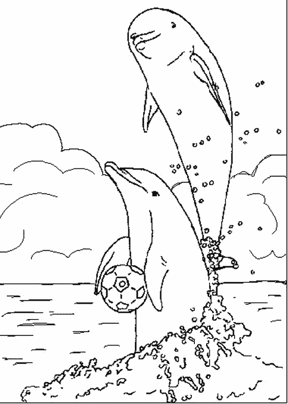 Раскраска: Морские животные (Животные) #22114 - Бесплатные раскраски для печати