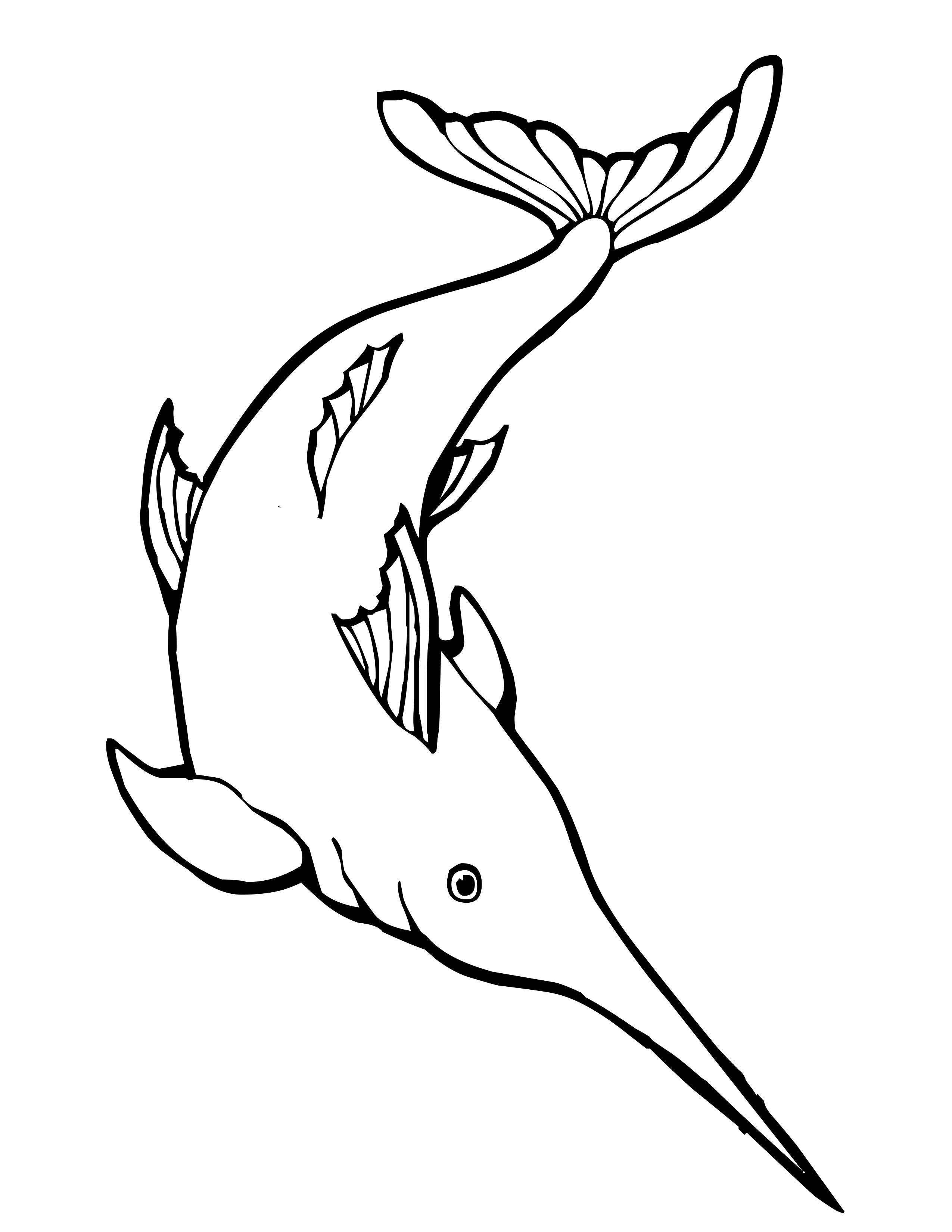 Раскраска: Морские животные (Животные) #22124 - Бесплатные раскраски для печати
