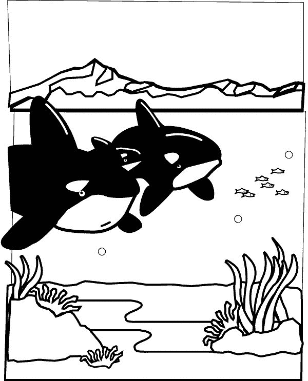Раскраска: Морские животные (Животные) #22133 - Бесплатные раскраски для печати