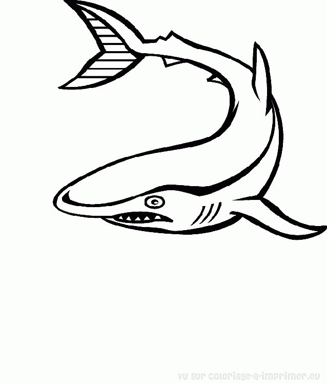 Раскраска: Морские животные (Животные) #22144 - Бесплатные раскраски для печати