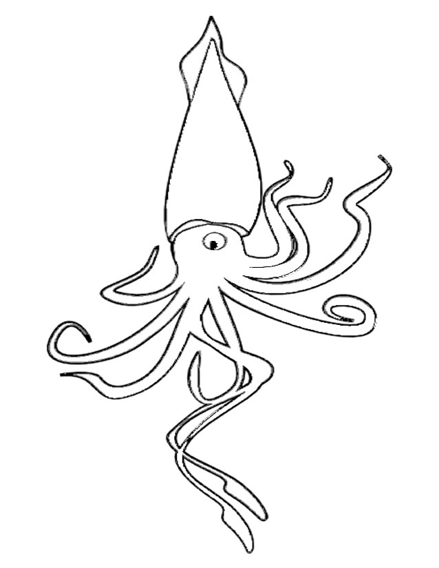 Раскраска: Морские животные (Животные) #22152 - Бесплатные раскраски для печати