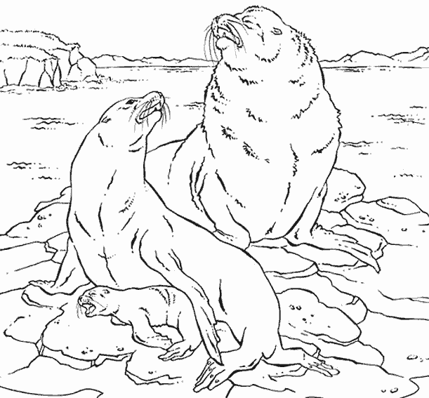 Раскраска: Морские животные (Животные) #22176 - Бесплатные раскраски для печати
