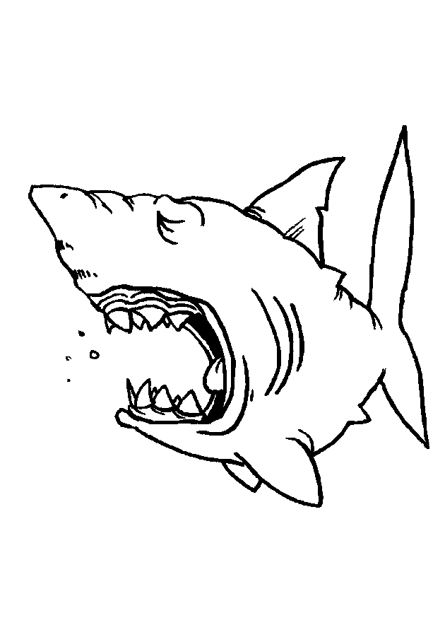 Раскраска: Морские животные (Животные) #22197 - Бесплатные раскраски для печати