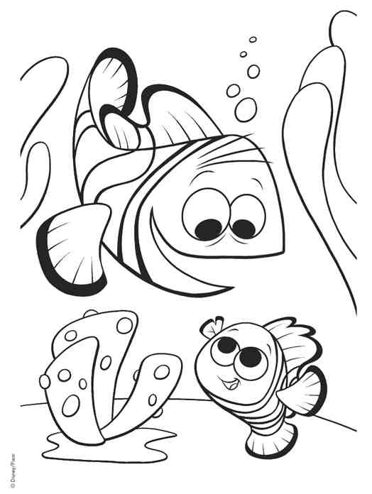 Раскраска: Морские животные (Животные) #22201 - Бесплатные раскраски для печати
