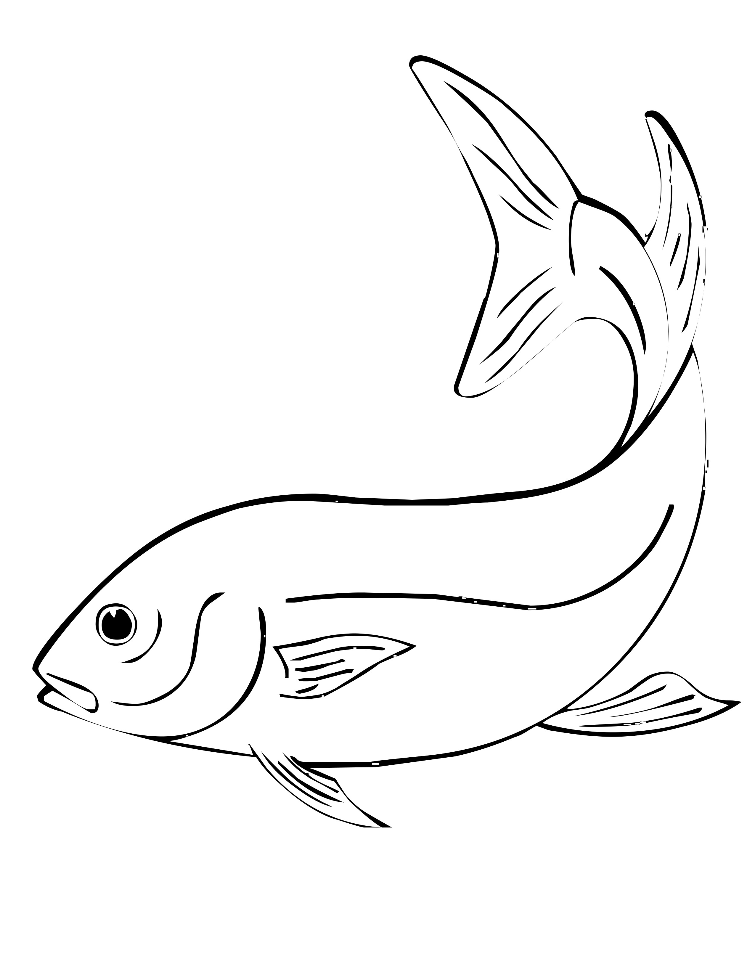Раскраска: Морские животные (Животные) #22237 - Бесплатные раскраски для печати