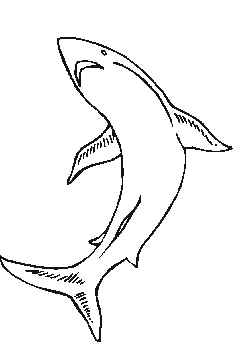 Раскраска: Морские животные (Животные) #22255 - Бесплатные раскраски для печати