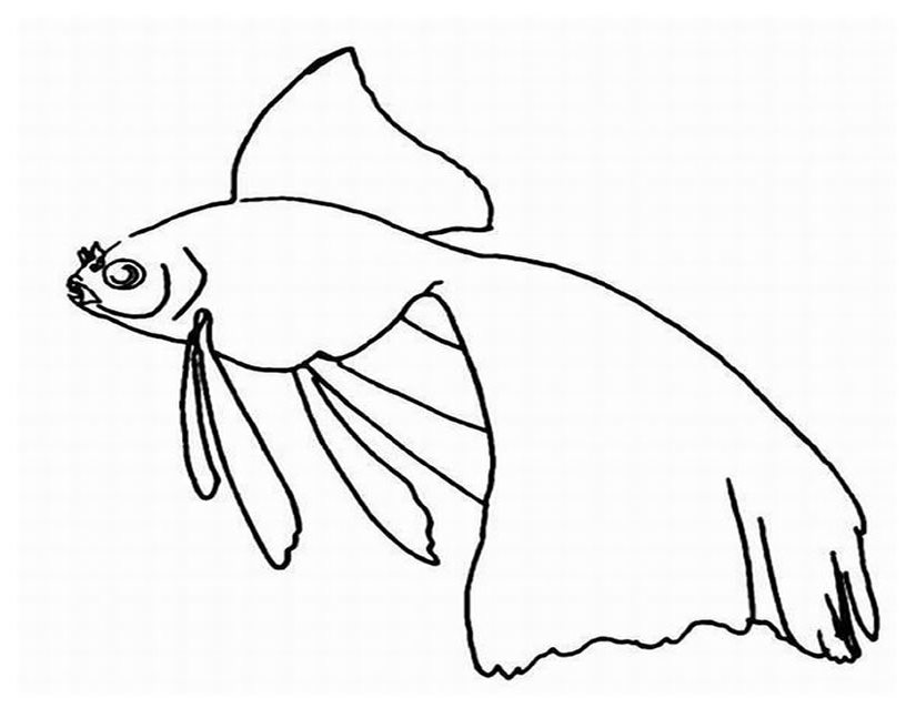 Раскраска: Морские животные (Животные) #22264 - Бесплатные раскраски для печати