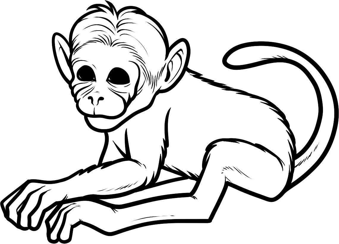 Раскраска: обезьяна (Животные) #14142 - Бесплатные раскраски для печати