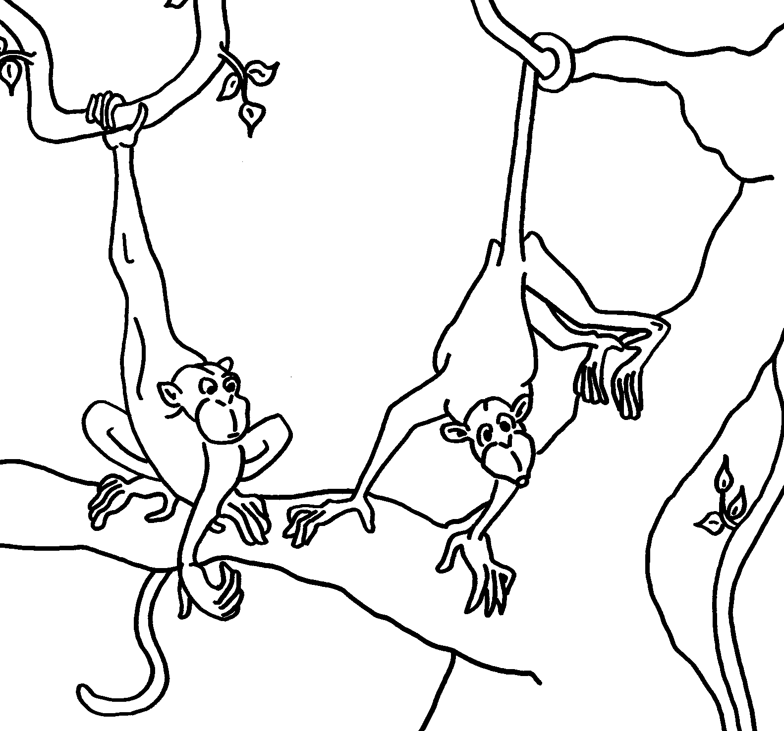 Раскраска обезьяна на ветке