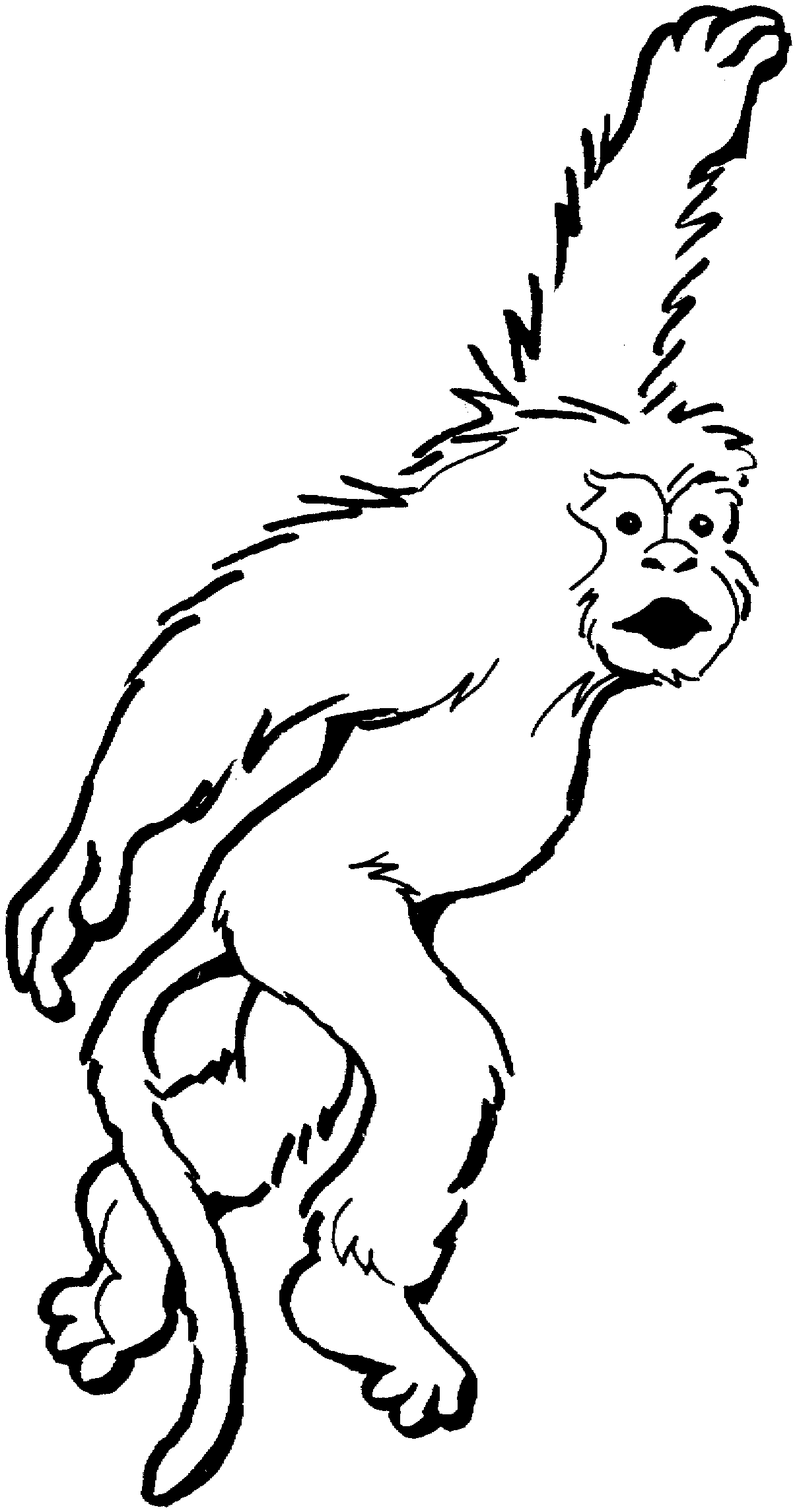 Раскраска: обезьяна (Животные) #14243 - Бесплатные раскраски для печати