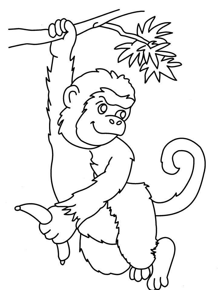 Раскраска: обезьяна (Животные) #14254 - Бесплатные раскраски для печати