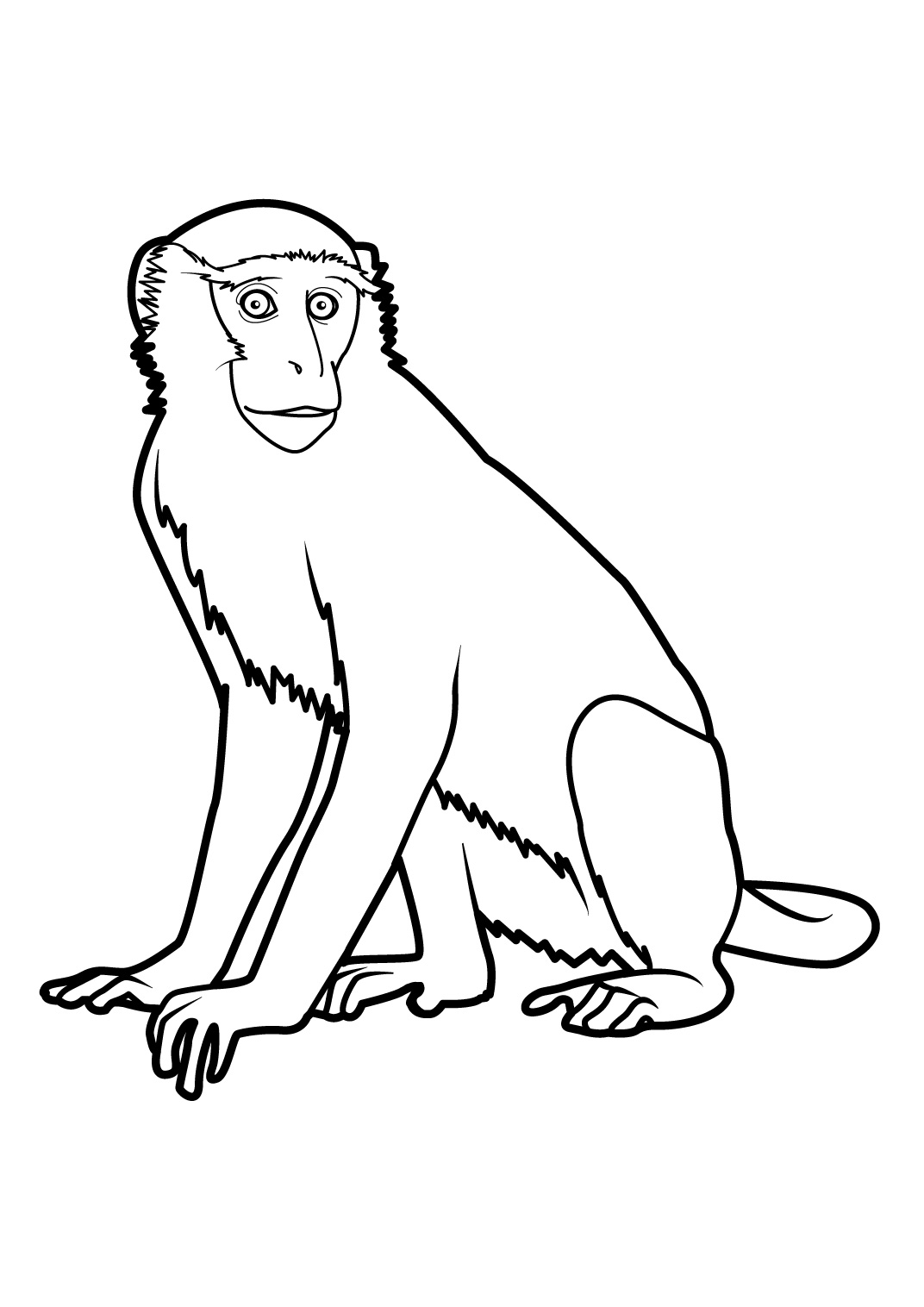 Раскраска: обезьяна (Животные) #14259 - Бесплатные раскраски для печати