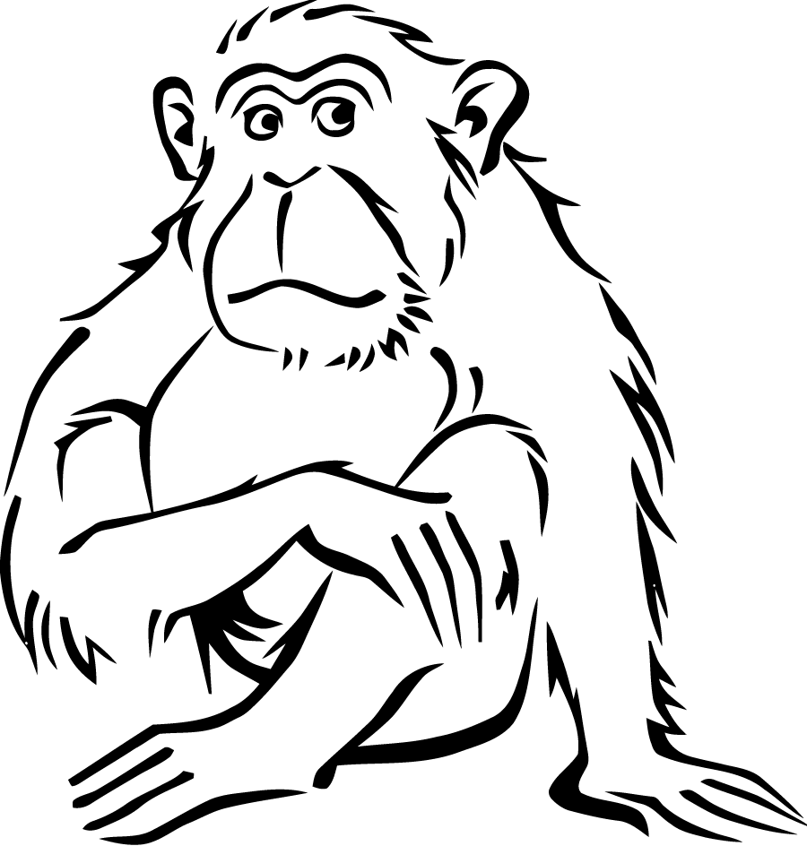 Раскраска: обезьяна (Животные) #14320 - Бесплатные раскраски для печати