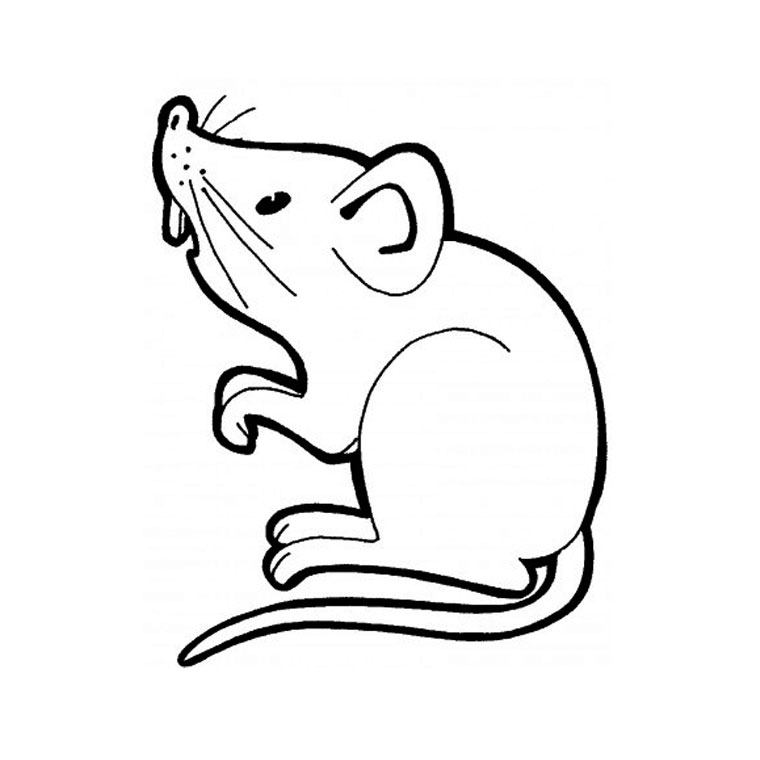 Раскраска: мышь (Животные) #13937 - Бесплатные раскраски для печати