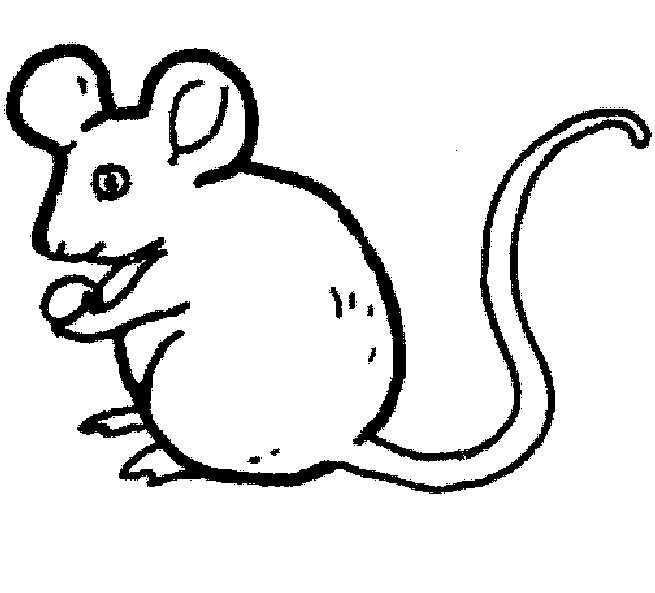 Раскраска: мышь (Животные) #13938 - Бесплатные раскраски для печати
