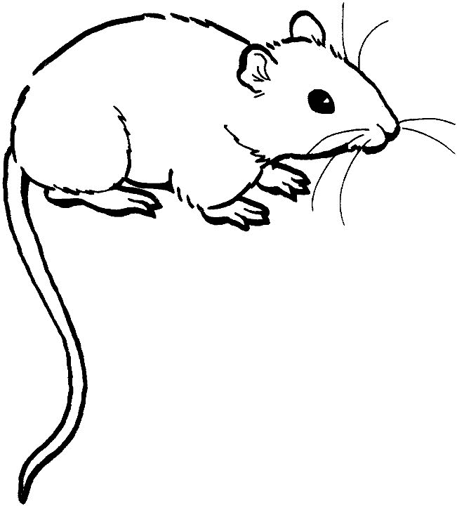 Раскраска: мышь (Животные) #13941 - Бесплатные раскраски для печати