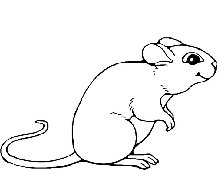 Раскраска: мышь (Животные) #13947 - Бесплатные раскраски для печати