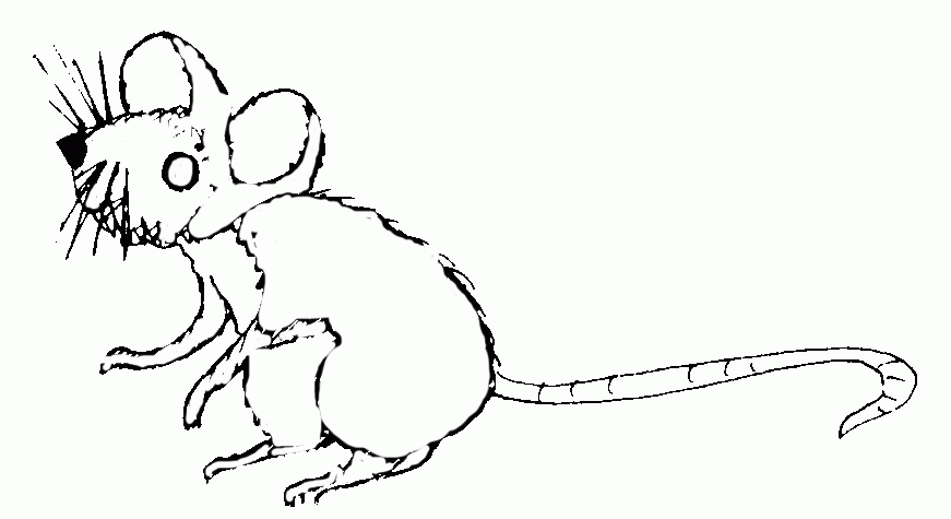 Раскраска: мышь (Животные) #13974 - Бесплатные раскраски для печати