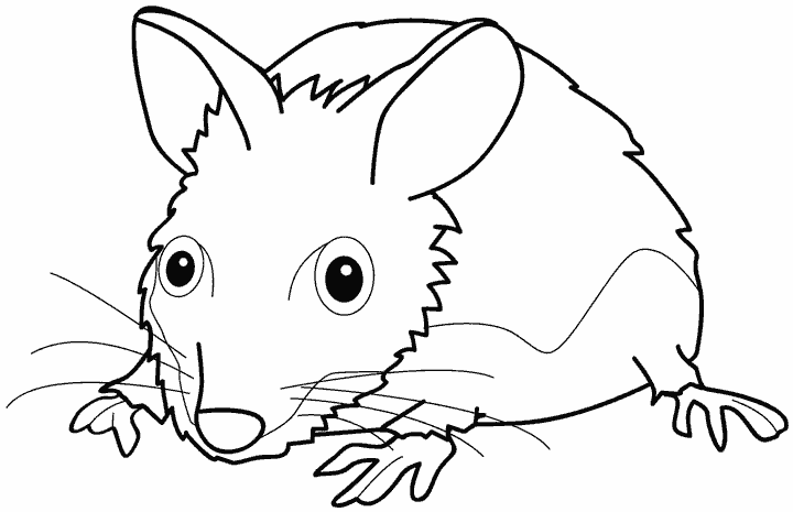 Раскраска: мышь (Животные) #14130 - Бесплатные раскраски для печати