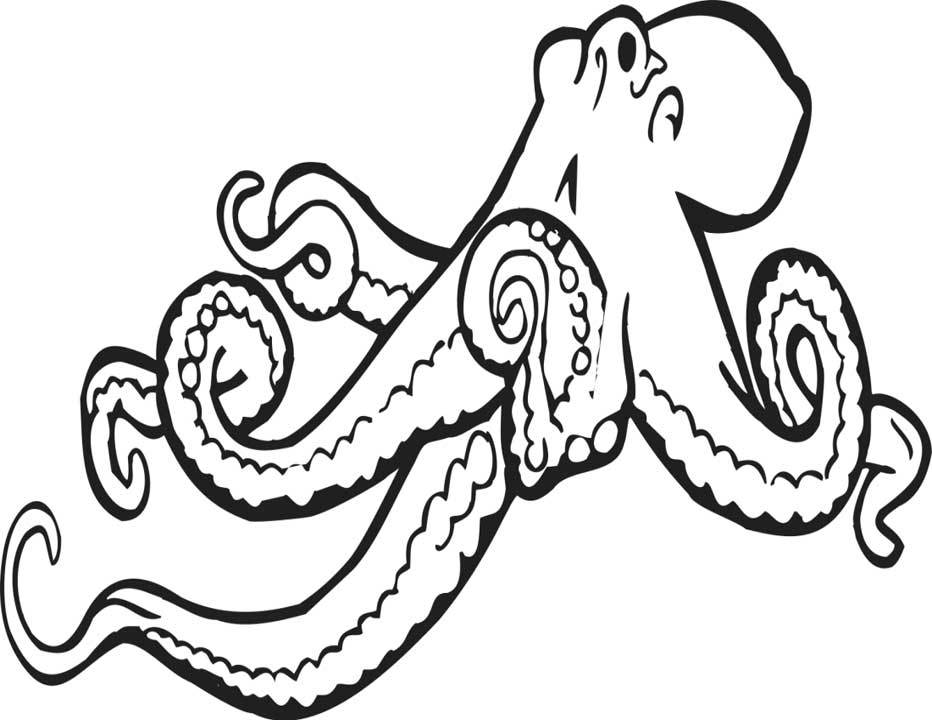 Раскраска: осьминог (Животные) #18966 - Бесплатные раскраски для печати
