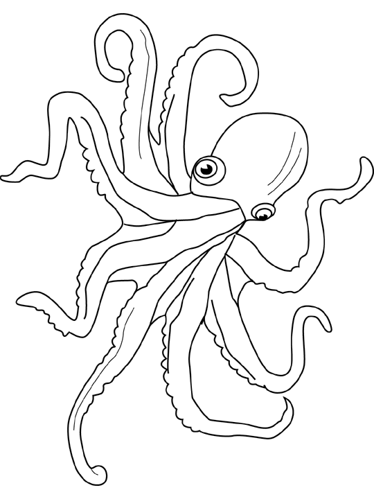 Раскраска: осьминог (Животные) #18976 - Бесплатные раскраски для печати