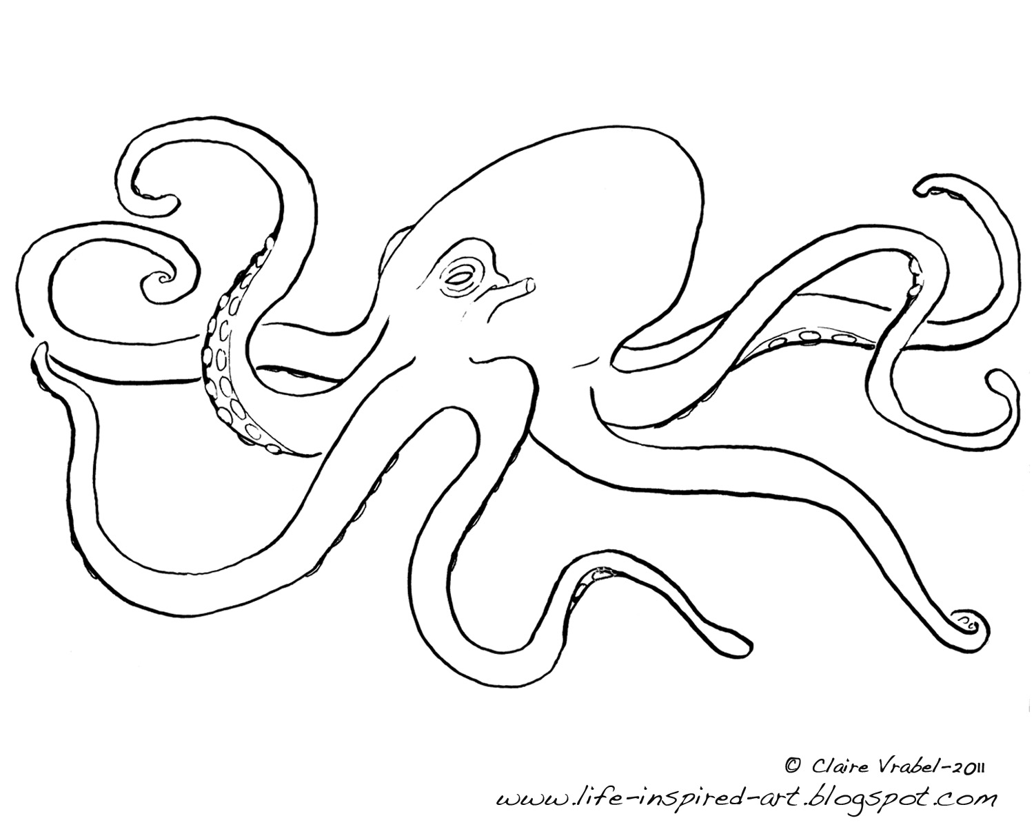 Раскраска: осьминог (Животные) #18979 - Бесплатные раскраски для печати