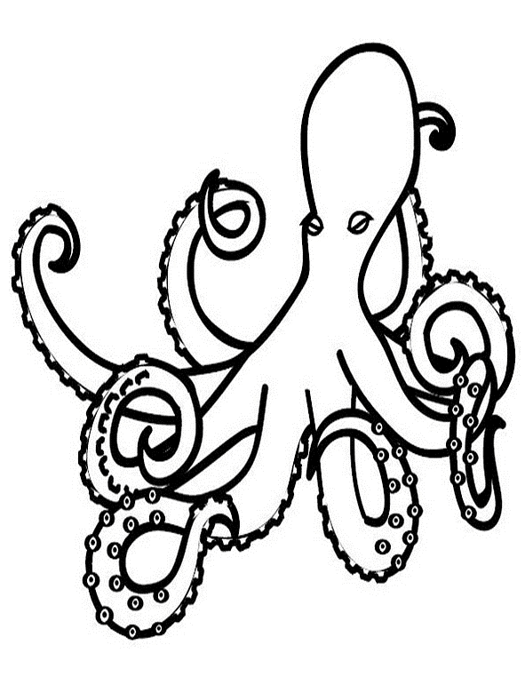 Раскраска: осьминог (Животные) #19011 - Бесплатные раскраски для печати
