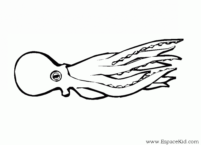 Раскраска: осьминог (Животные) #19065 - Бесплатные раскраски для печати