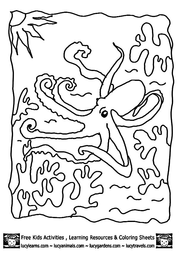 Раскраска: осьминог (Животные) #19071 - Бесплатные раскраски для печати