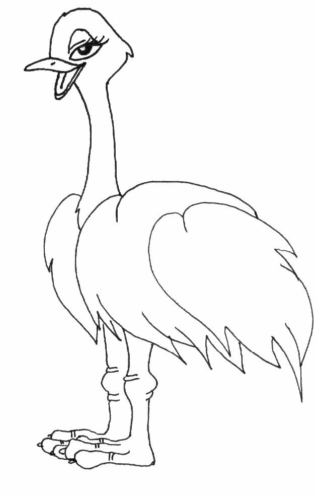 Раскраска: страус (Животные) #676 - Бесплатные раскраски для печати