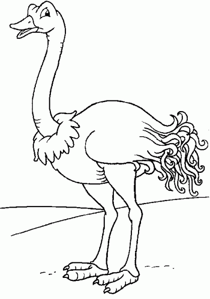 Раскраска: страус (Животные) #677 - Бесплатные раскраски для печати