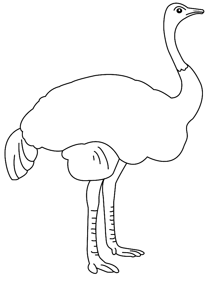 Раскраска: страус (Животные) #679 - Бесплатные раскраски для печати