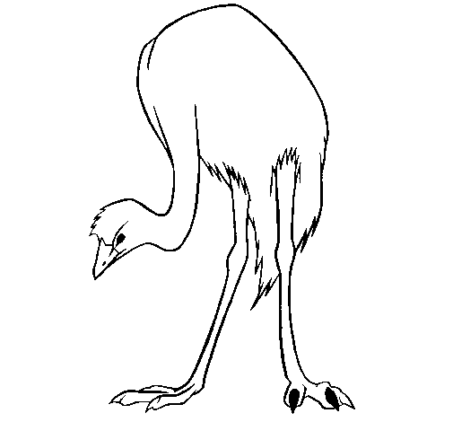 Раскраска: страус (Животные) #681 - Бесплатные раскраски для печати