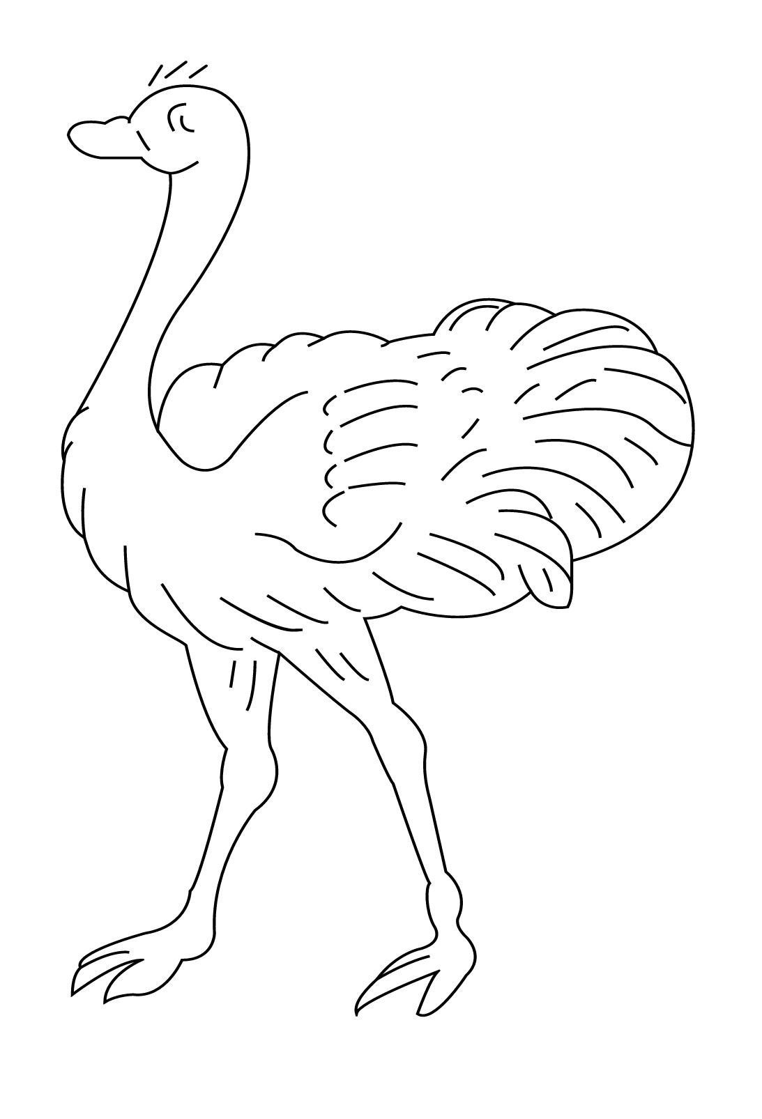 Раскраски животных страус