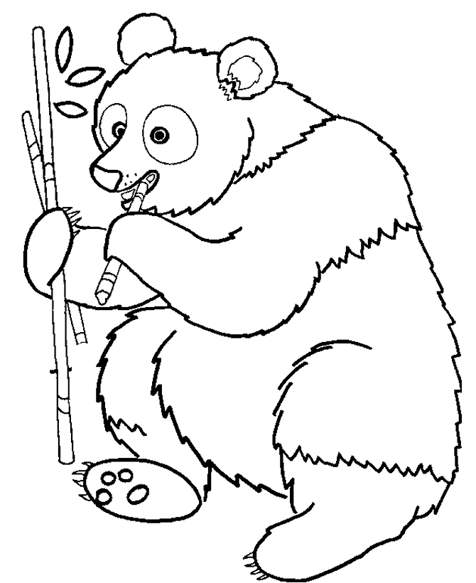 Раскраска: панда (Животные) #12463 - Бесплатные раскраски для печати