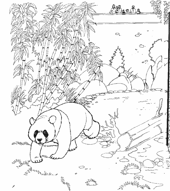 Раскраска: панда (Животные) #12486 - Бесплатные раскраски для печати