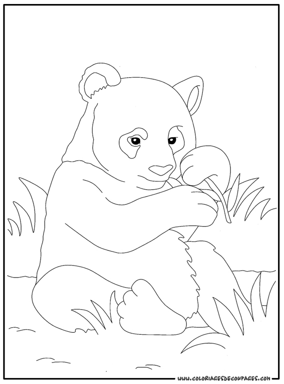 Раскраска: панда (Животные) #12488 - Бесплатные раскраски для печати