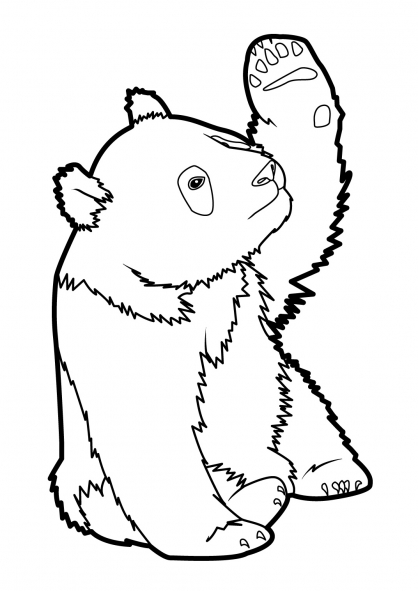 Раскраска: панда (Животные) #12503 - Бесплатные раскраски для печати
