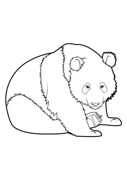 Раскраска: панда (Животные) #12509 - Бесплатные раскраски для печати