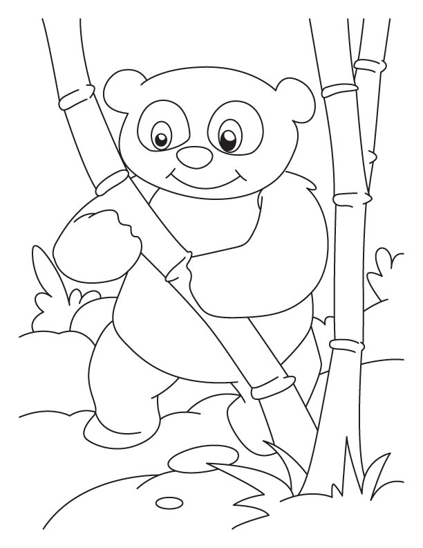 Раскраска: панда (Животные) #12550 - Бесплатные раскраски для печати