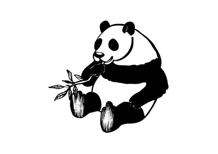 Раскраска: панда (Животные) #12586 - Бесплатные раскраски для печати