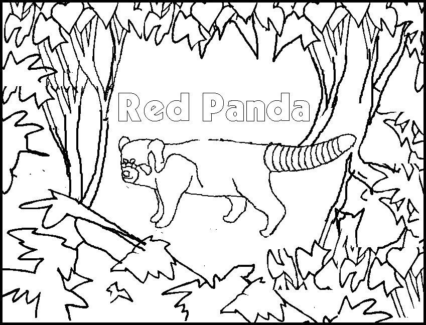Раскраска: панда (Животные) #12596 - Бесплатные раскраски для печати