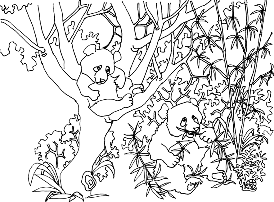 Раскраска: панда (Животные) #12603 - Бесплатные раскраски для печати