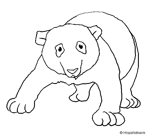 Раскраска: панда (Животные) #12621 - Бесплатные раскраски для печати